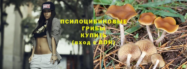 индика Абинск