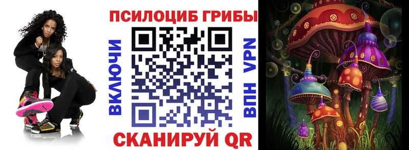 Галлюциногенные грибы Psilocybe  цены наркотик  Кизилюрт 